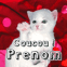 Ce chaton fait "coucou!"